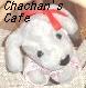 X` Chachan's Cafe gbvy[W